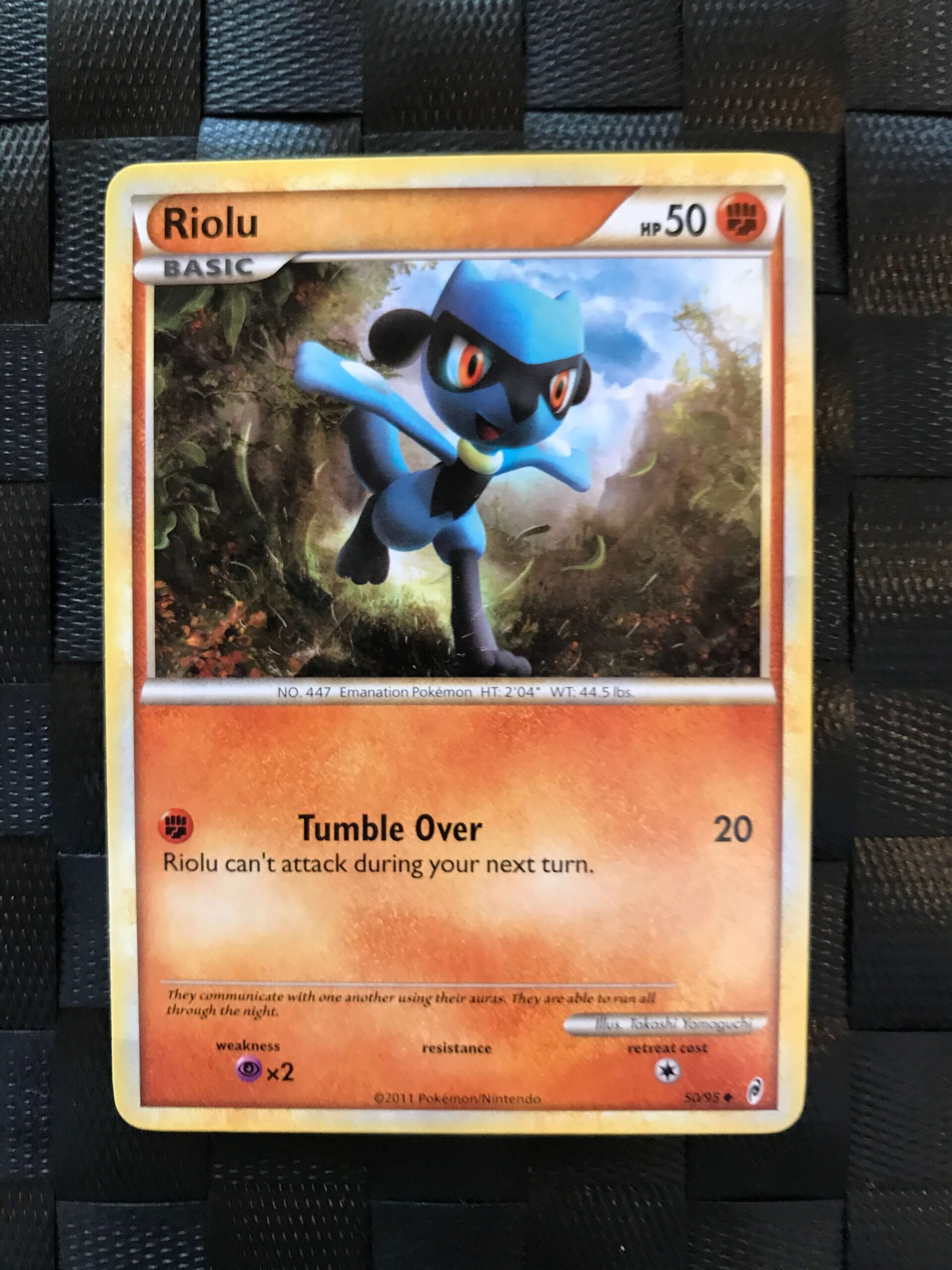 Riolu Riolu