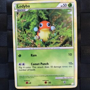 Ledyba