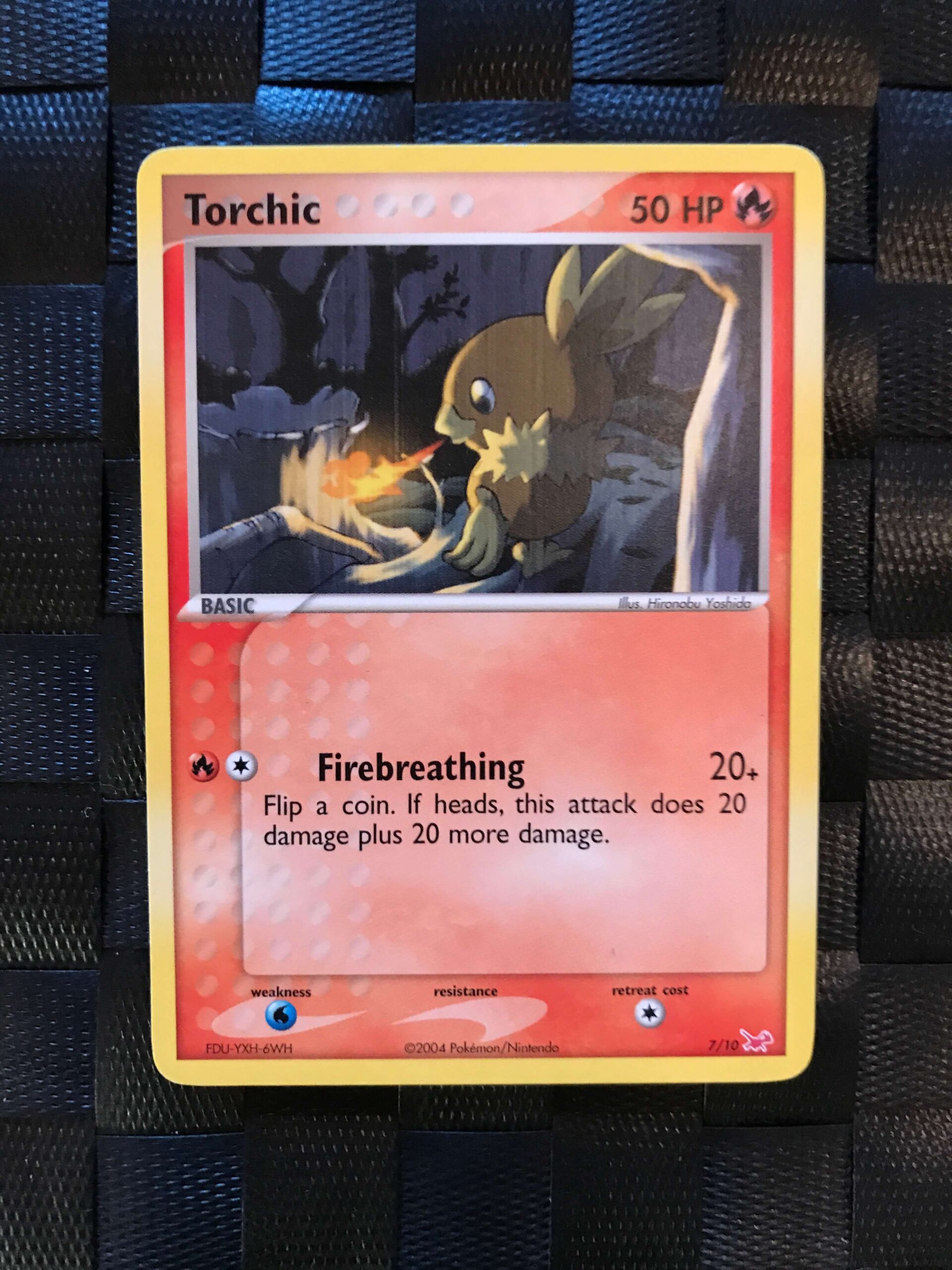 Torchic