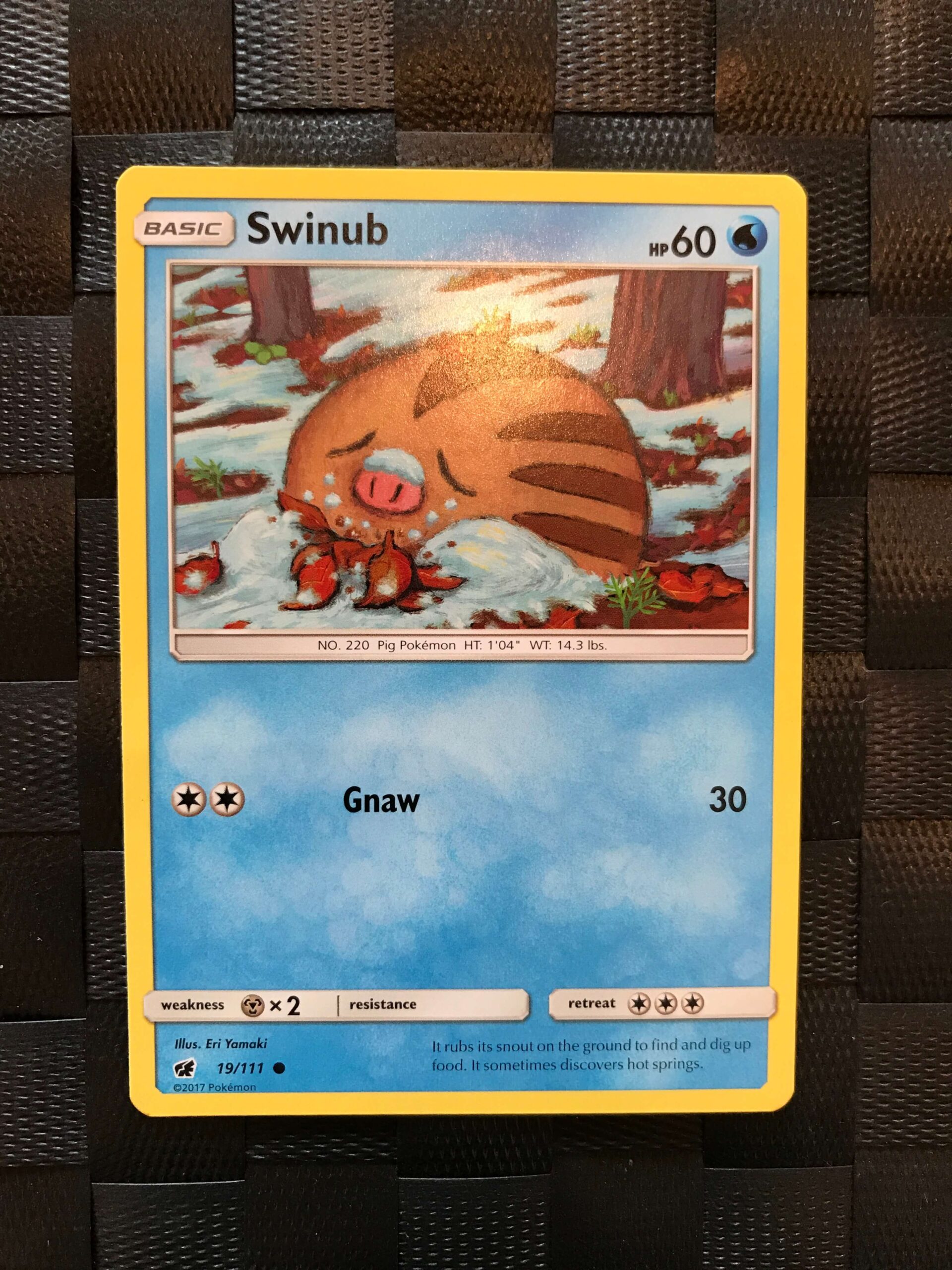 Swinub Swinub
