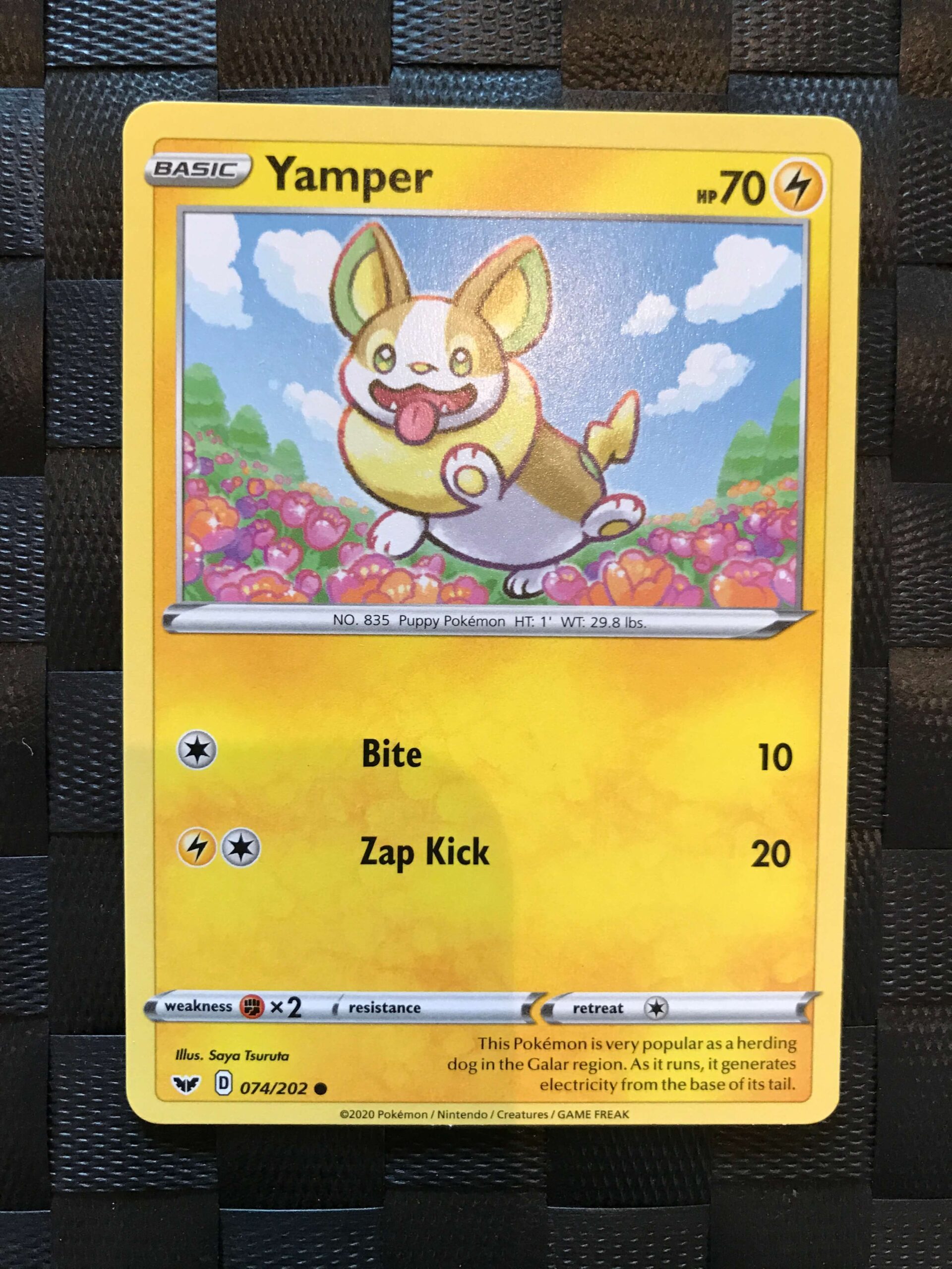Yamper Yamper