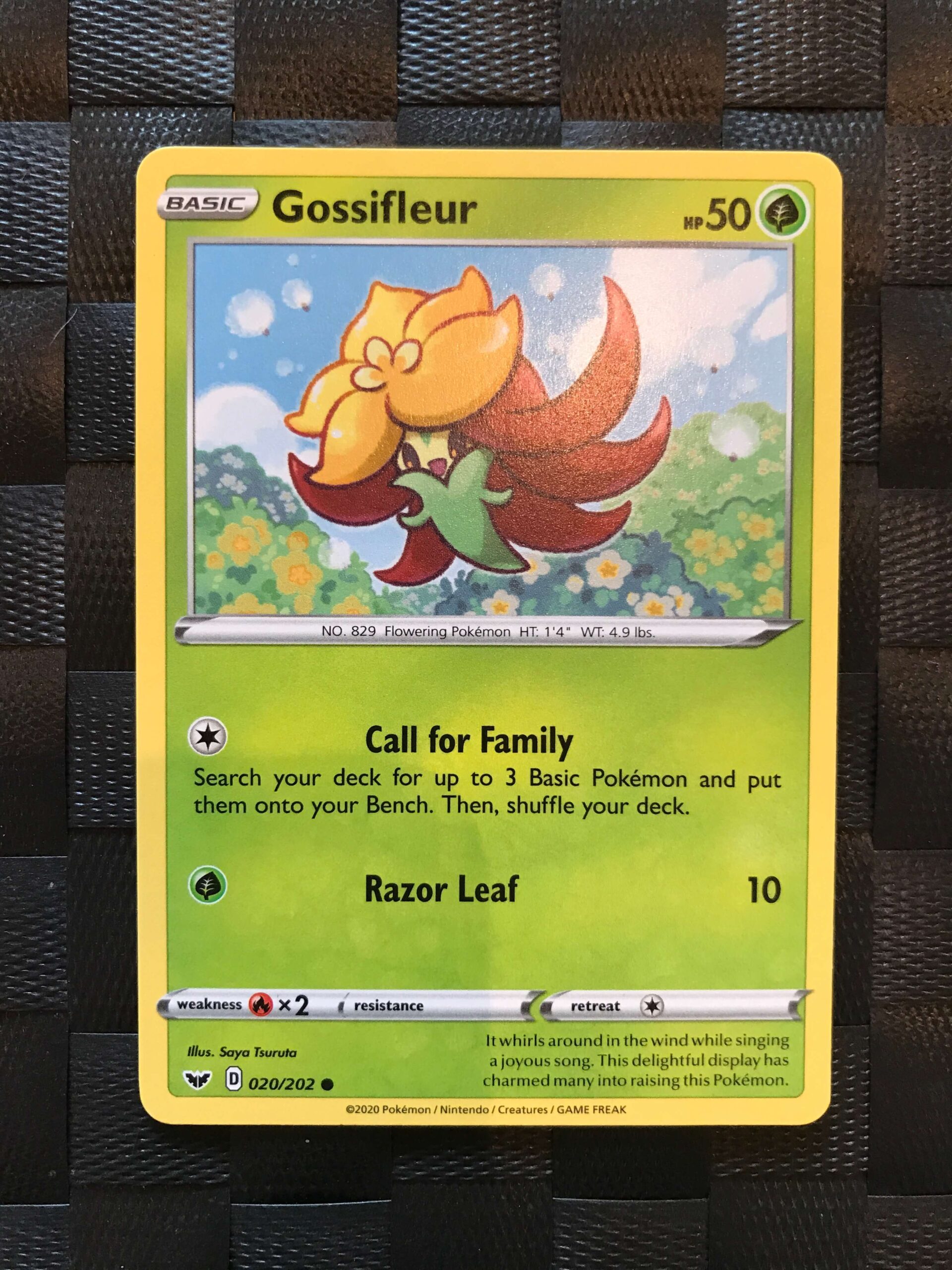 Gossifleur Gossifleur